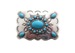 Shiny Silver Turquoise Design